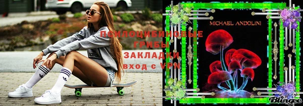 ГАЛЛЮЦИНОГЕННЫЕ ГРИБЫ Алексеевка