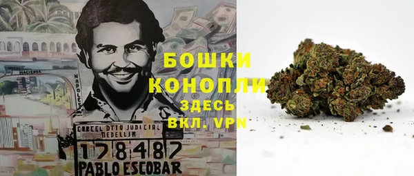 ГАЛЛЮЦИНОГЕННЫЕ ГРИБЫ Алексеевка