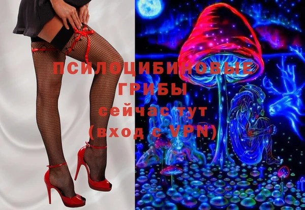 ГАЛЛЮЦИНОГЕННЫЕ ГРИБЫ Алексеевка